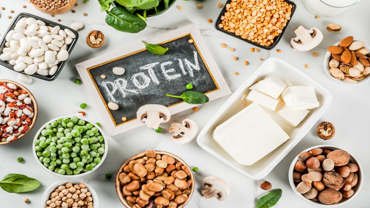 پروتئین های مصرفی مناسب