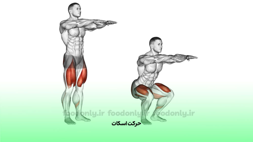 حرکت اسکات
