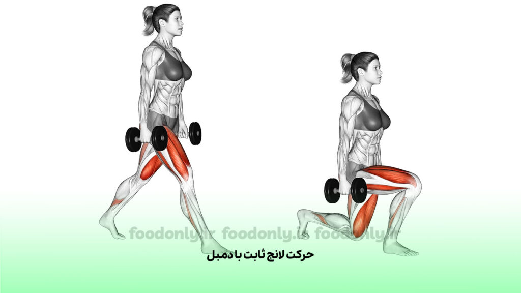 حرکت لانج ثابت با دمبل