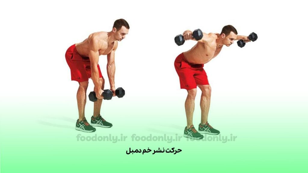 حرکت نشر خم دمبل