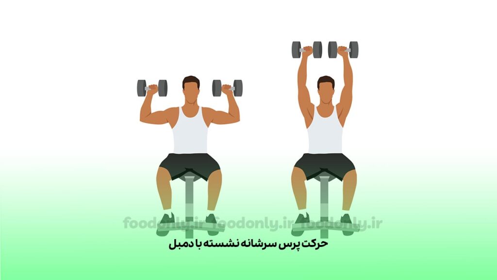 حرکت پرس سرشانه نشسته با دمبل