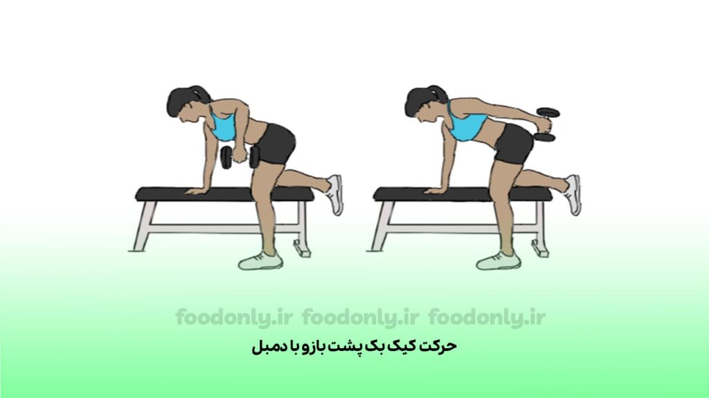 حرکت کیک بک پشت بازو با دمبل