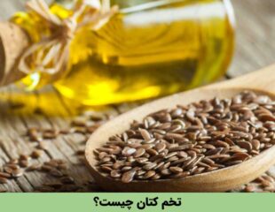 تخم کتان