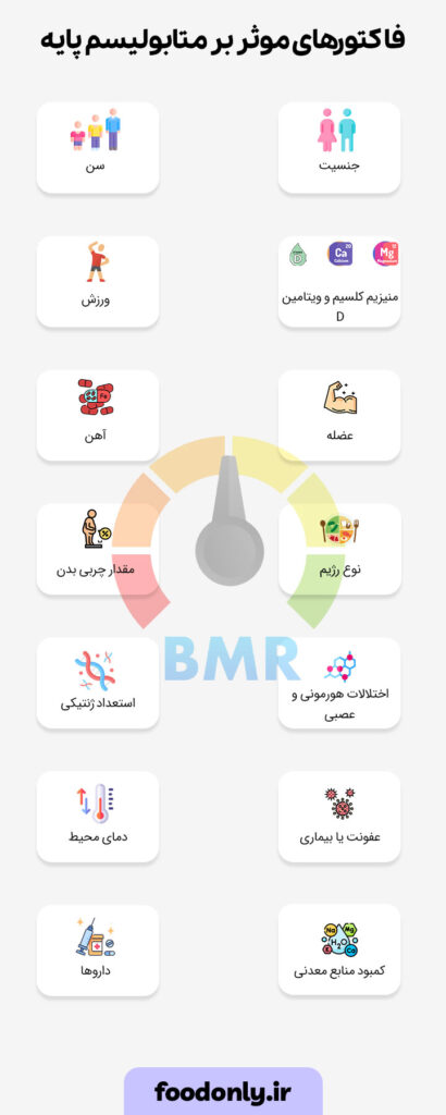عوامل موثر در محاسبه bmr چیست؟