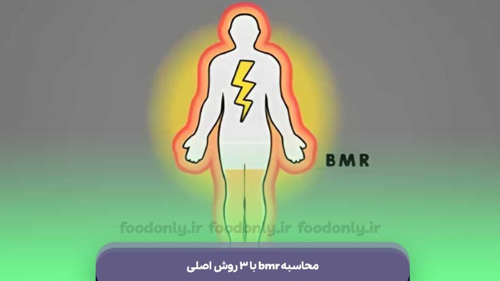 محاسبه bmr