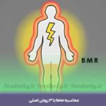 محاسبه bmr