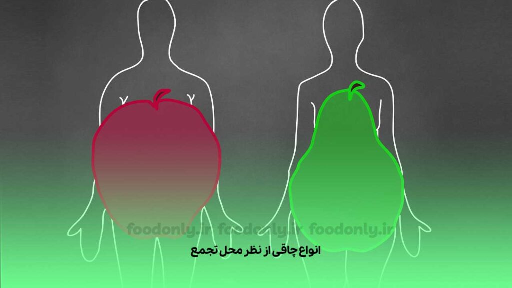 انواع چاقی بر اساس محل تجمع چربی