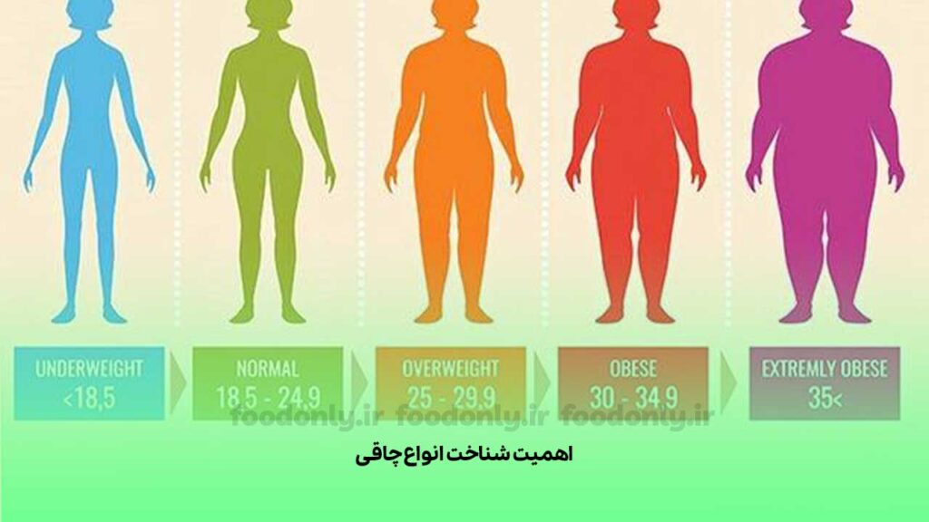 اهمیت شناخت انواع چاقی