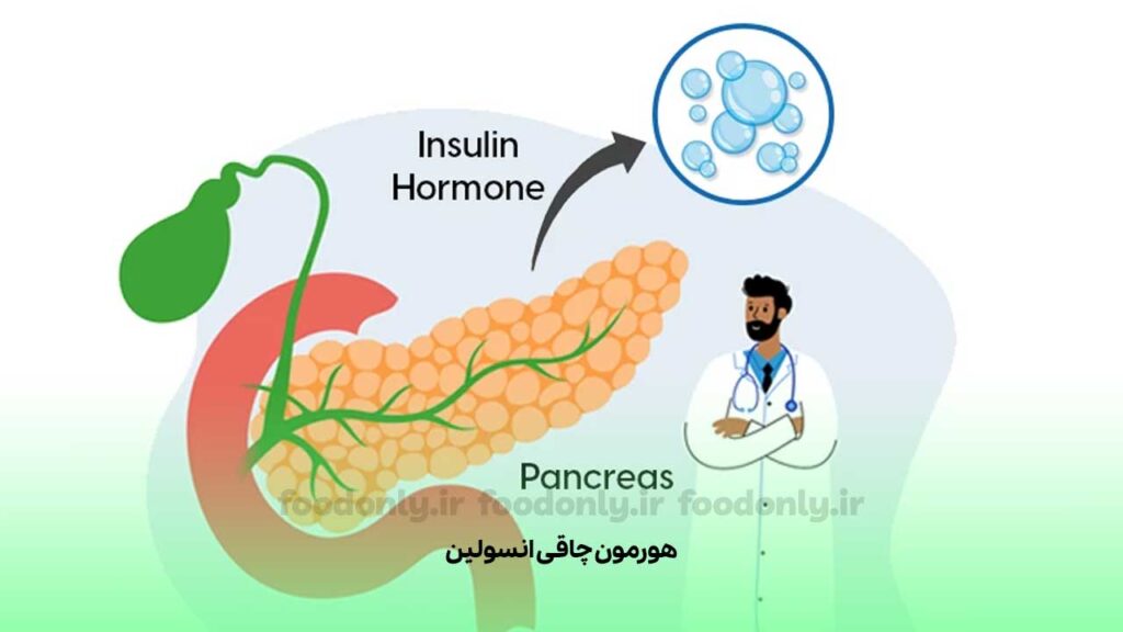 هورمون اضافه وزن انسولین